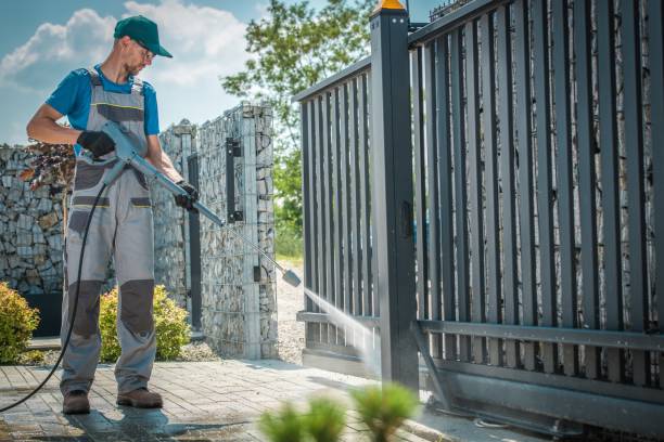 Best Spring Cleaning  in Allendale, MI